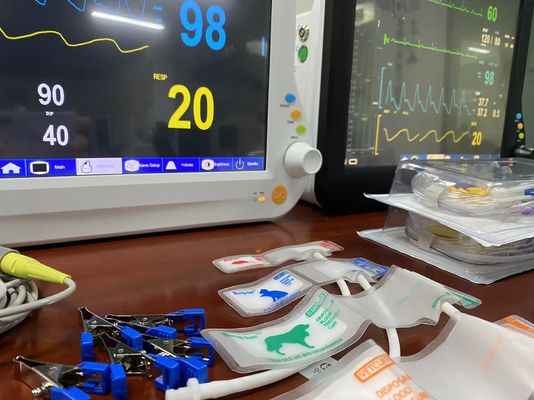 1024X768 Monitor LCD veterinario multiparametro, dispositivi di monitoraggio dei segni vitali con 15 pollici