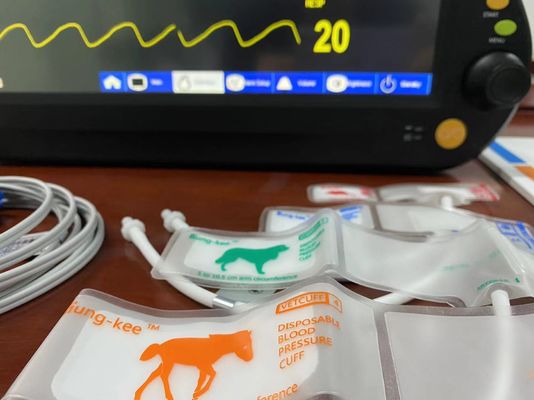 Equipaggiamento di monitoraggio dei segni vitali da 15 pollici Multiparametro per paziente veterinario